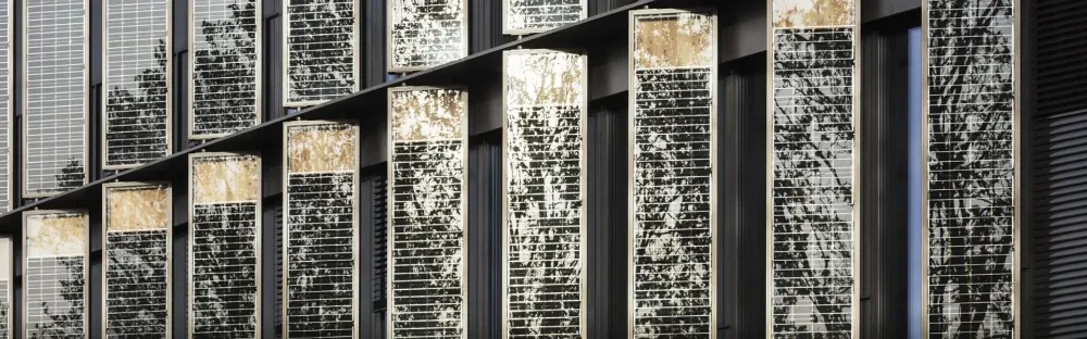 City Hall Freiburg Banner